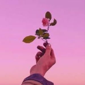 Meet your Posher, Dylan